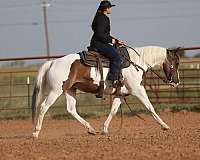 trail-quarter-pony