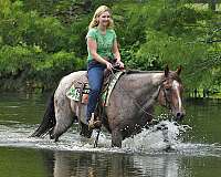 trail-riding-quarter-pony