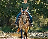 lesson-quarter-horse