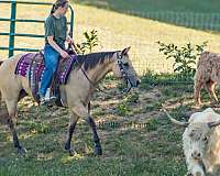 trail-riding-quarter-horse