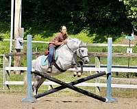 jumping-welsh-pony