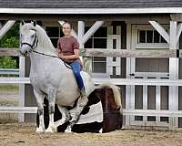 trail-riding-welsh-pony