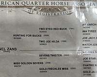 husband-safe-quarter-horse