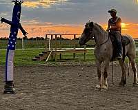 husband-safe-draft-horse