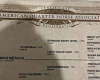 athletic-quarter-horse