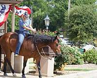 ranch-versatility-quarter-horse