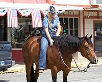 ranch-work-quarter-horse