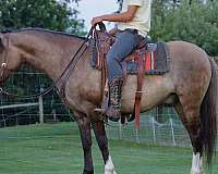 trail-riding-quarter-horse