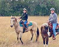 barrel-racing-quarter-horse