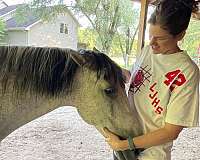 trail-trail-riding-tennessee-walking-pony