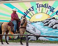 family-horse-quarter