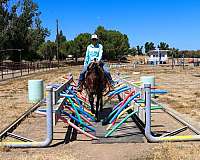 beginner-safe-quarter-horse