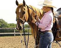 reining-quarter-horse