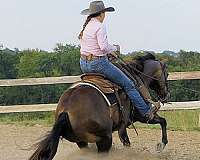 ranch-versatility-quarter-horse