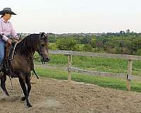 roping-quarter-horse