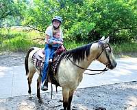 family-quarter-horse