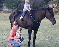 black-mare-quarter-horse