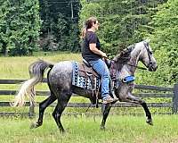 farm-horse-kentucky-mountain