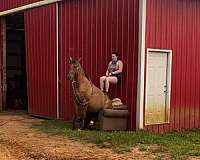 dun-left-fore-pastern-white-horse