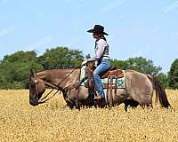 roping-quarter-horse