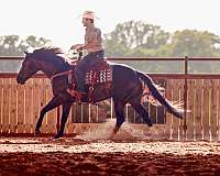 trail-riding-quarter-horse