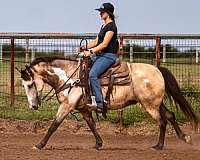 roping-quarter-pony