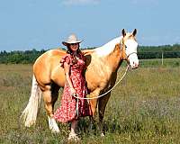 husband-safe-quarter-horse