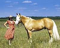 ranch-quarter-horse