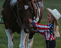 husband-safe-paint-horse