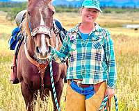 chestnut-liver-chestnut-beginner-pony