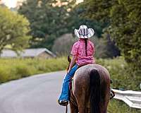 ranch-work-quarter-horse