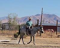 head-pony-quarter