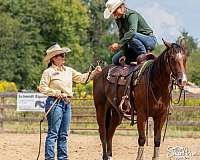 cowboy-mounted-shooting-quarter-horse