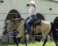 ranch-versatility-quarter-horse