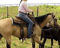 reined-cow-quarter-horse