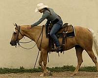 barrel-racing-quarter-horse