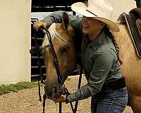 palomino-barrel-horse