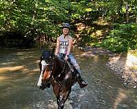 trail-riding-thoroughbred-horse