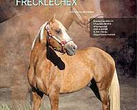 breeding-services-quarter-horse