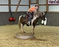 jumping-miniature-horse