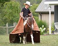 trail-riding-pony