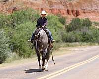 roping-quarter-horse