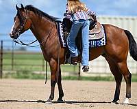 ranch-work-quarter-horse