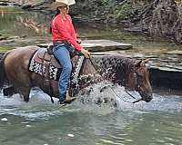 ranch-versatility-quarter-horse