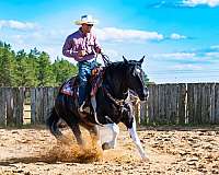 ranch-work-draft-horse