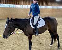 lesson-thoroughbred-pony