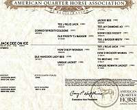 quarter-horse