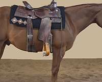 ranch-versatility-quarter-horse