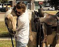 western-dressage-welsh-pony