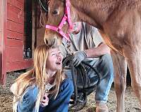 bay-buckskin-colt-mare